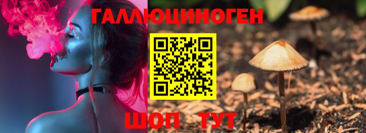 Галлюциногенные грибы GOLDEN TEACHER  Вход с VPN  закладка  Комсомольск-на-Амуре  Галлюциногенные грибы Cubensis 